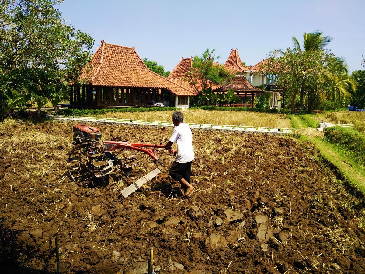 Java Village Resort By Homee Yogyakarta Sleman  Dış mekan fotoğraf